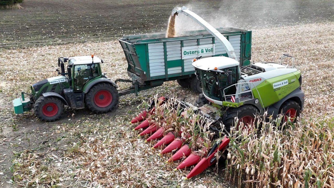 Измельчение LKS с помощью CLAAS JAGUAR 950 и кукурузной жатки для получения муки из ящериц / OSTE...