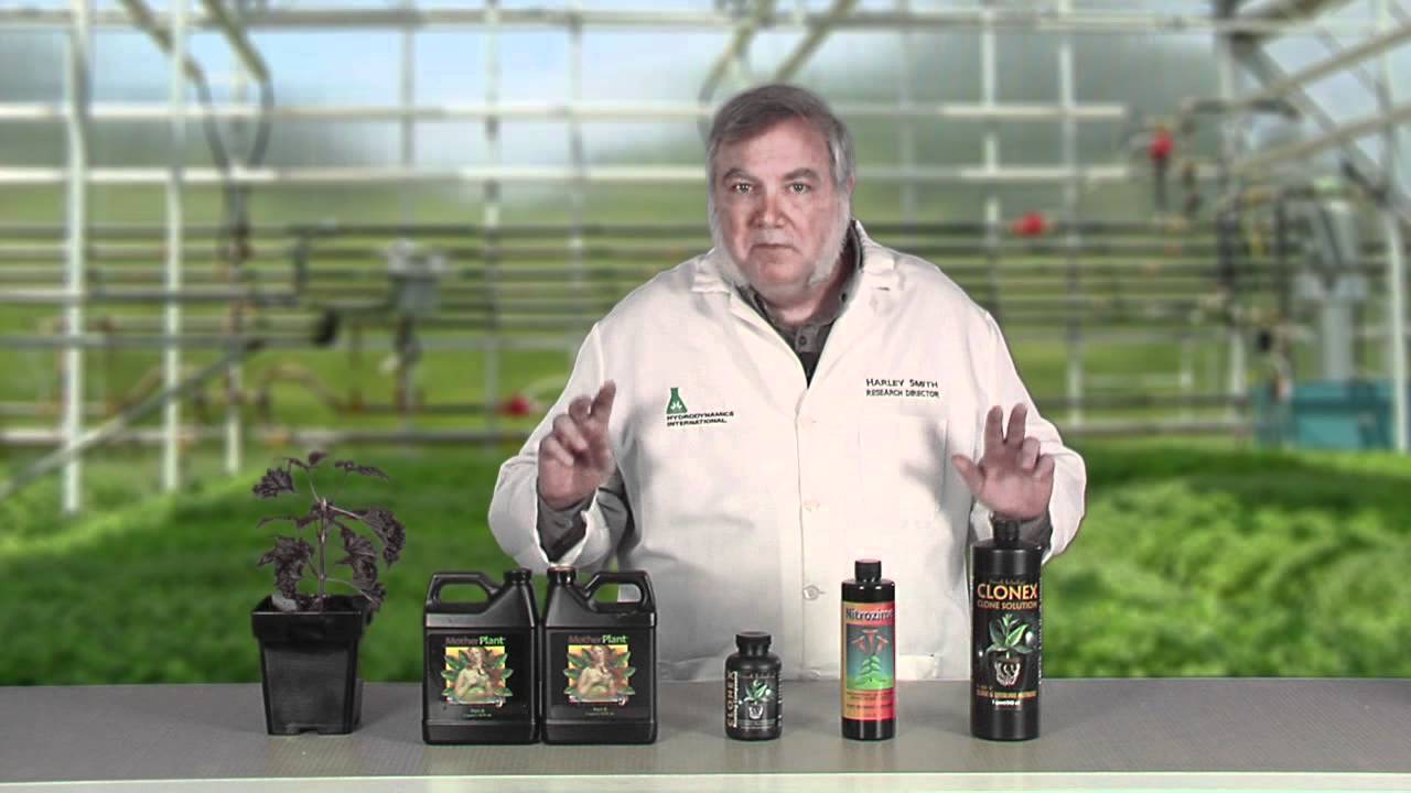Plant Propagation Basics