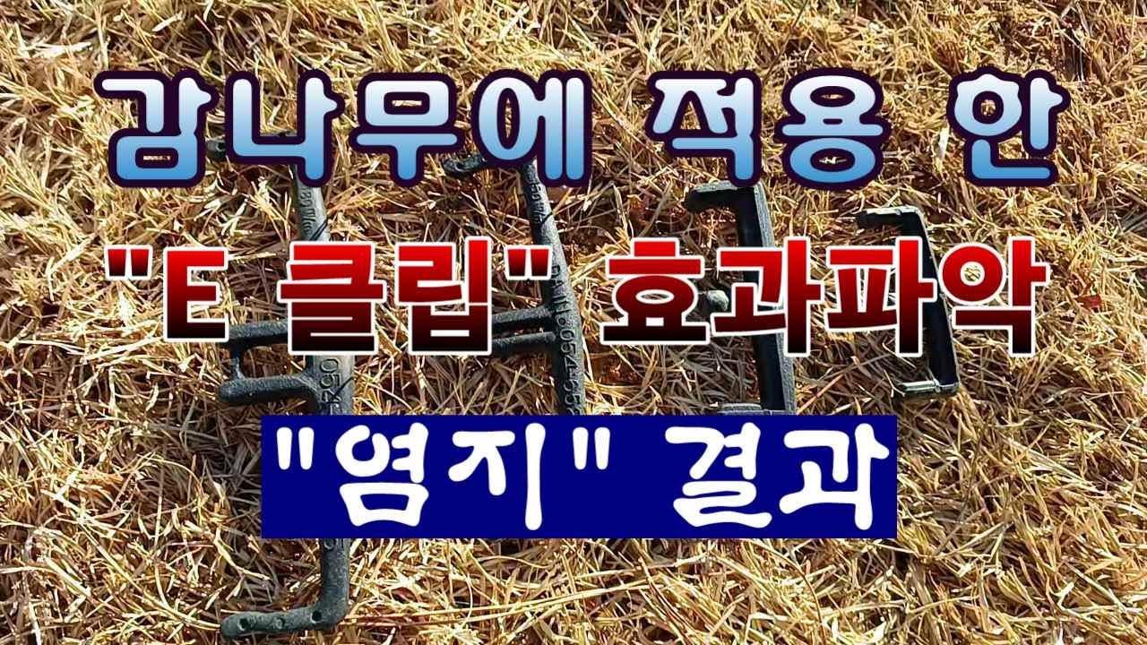 [텃밭농부  2,126]  단감나무에 적용 한 