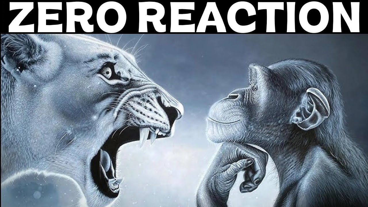 How to Be the Person Who Nothing Can Touch?