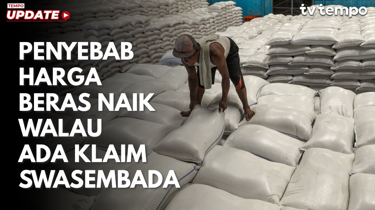 Penyebab Harga Beras Naik Walau Ada Klaim Swasembada