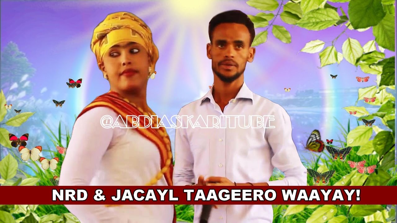 ALFANAAN NUURADIIN CABDI NRD - JACAYL TAAGEERO WAAYAY & TALO ADKAATAY 'CALAACAL’ | 2017 HD +LYRICS