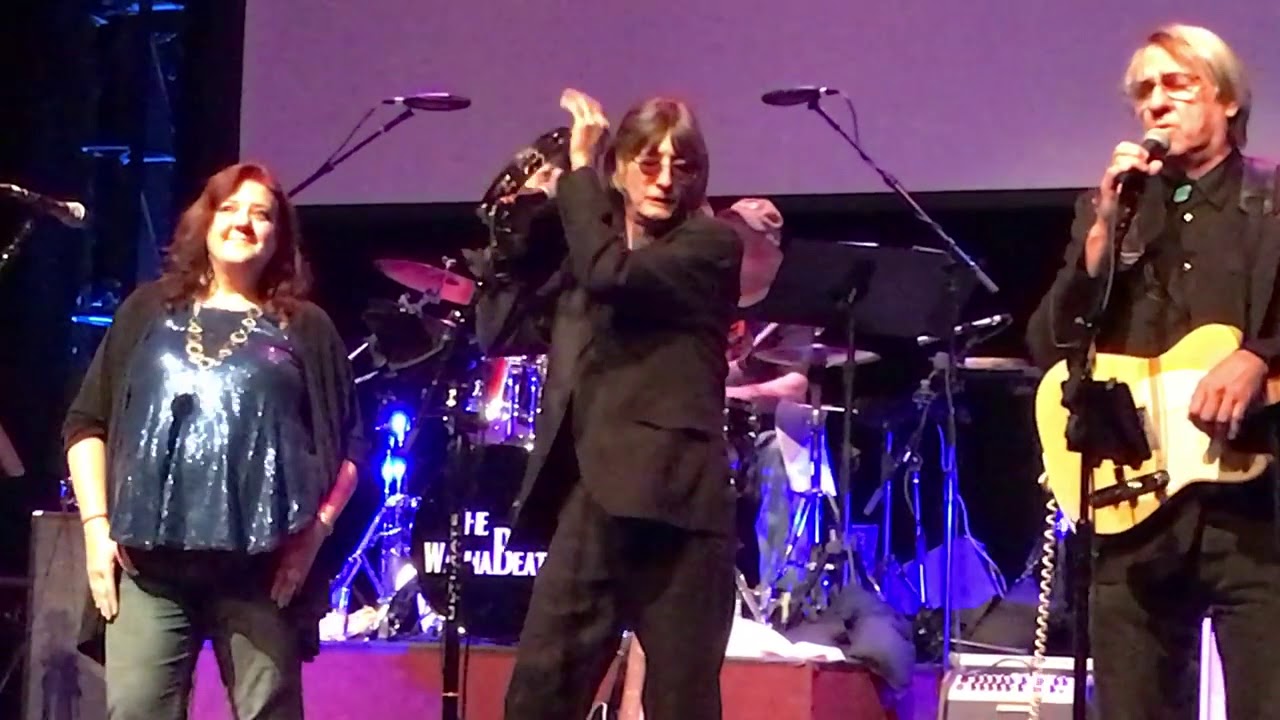 Mr  Tambourine Man at AMP by Strathmore