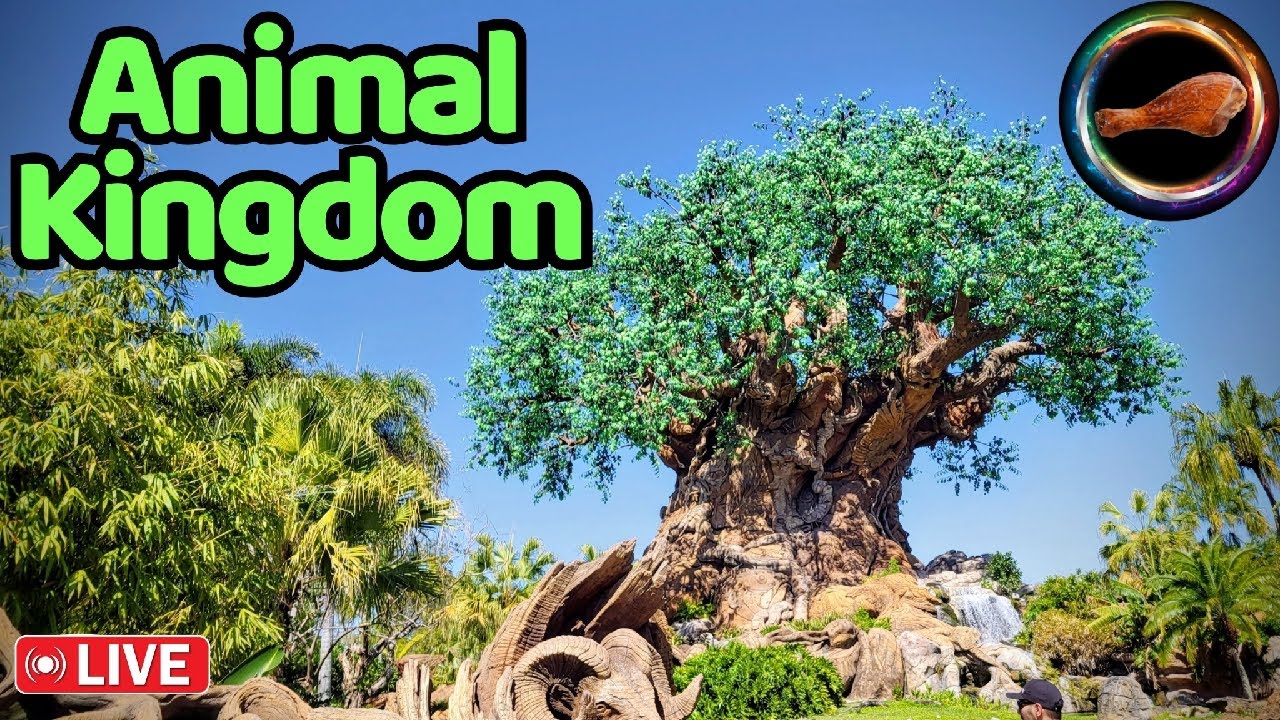 🔴Disney's Animal Kingdom (1/3/26).