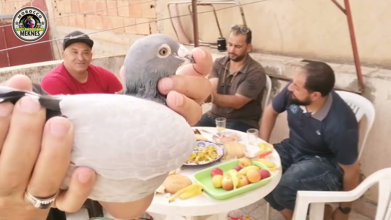 توليعة رائعة عند البطل هشام العروسي بمدينة مكناس