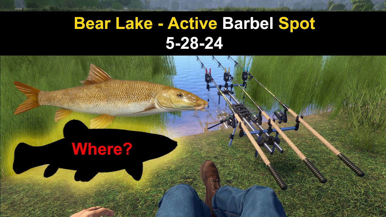 Russian Fishing 4, Bear Lake - Active Barbel Spot 5-28-24