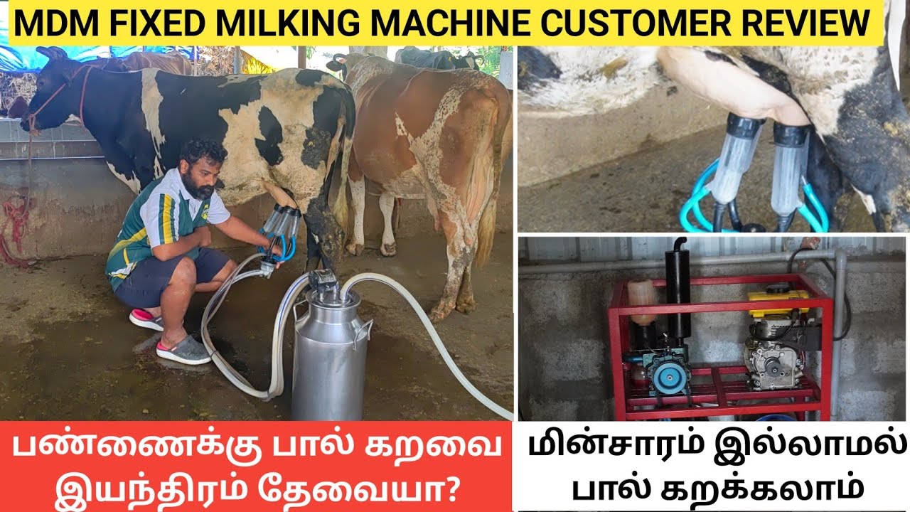 எந்த நிறுவனத்தின் பால் கறவை இயந்திரம் வாங்கலாம்? | MDM MILKING MACHINES CUSTOMER REVIEW