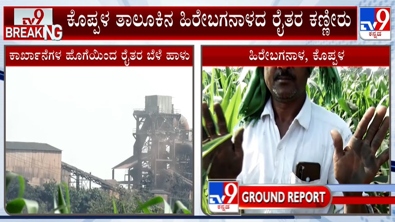 Steel, Iron Factories Dust Damaging Crops In Koppal, Farmers In Distress