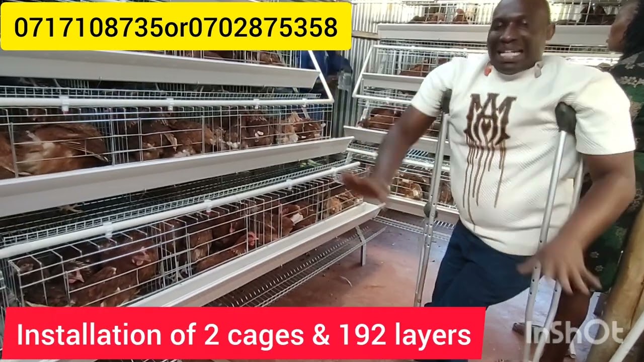 A SMALL SPACE ACCOMMODATE 192 BIRDS AT THIKA CLIENT( NET PROFIT KSH 28,000 PER MONTH) 0717108735
