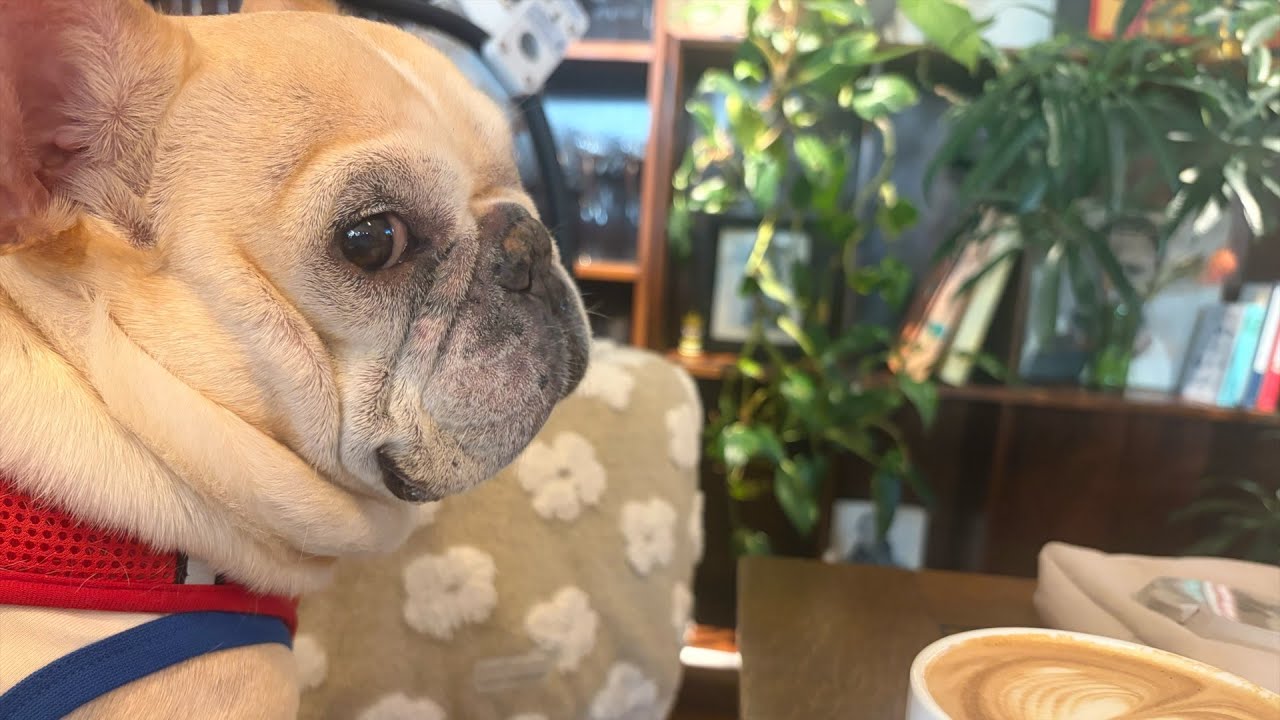 今年初♡ 彼の”これ”を見られました