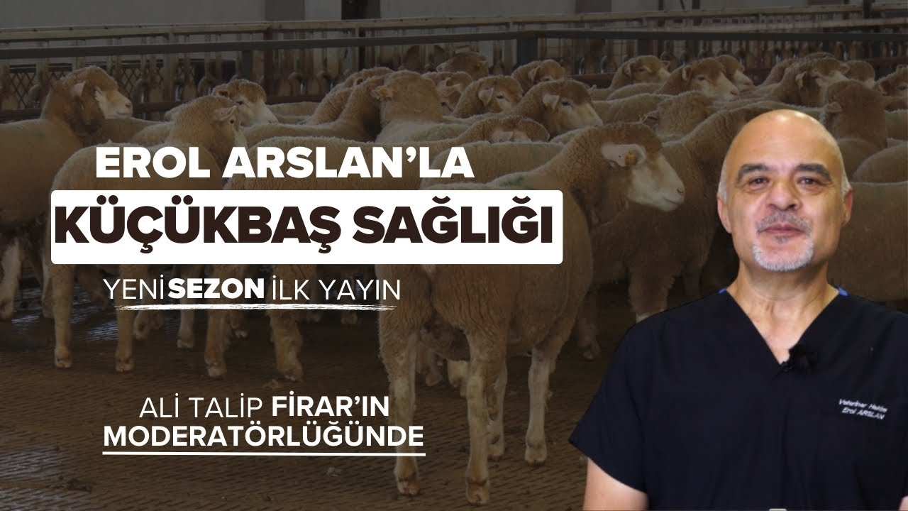 EROL ARSLAN'LA KÜÇÜKBAŞ SAĞLIĞI | YENİ SEZONUN İLK YAYINI