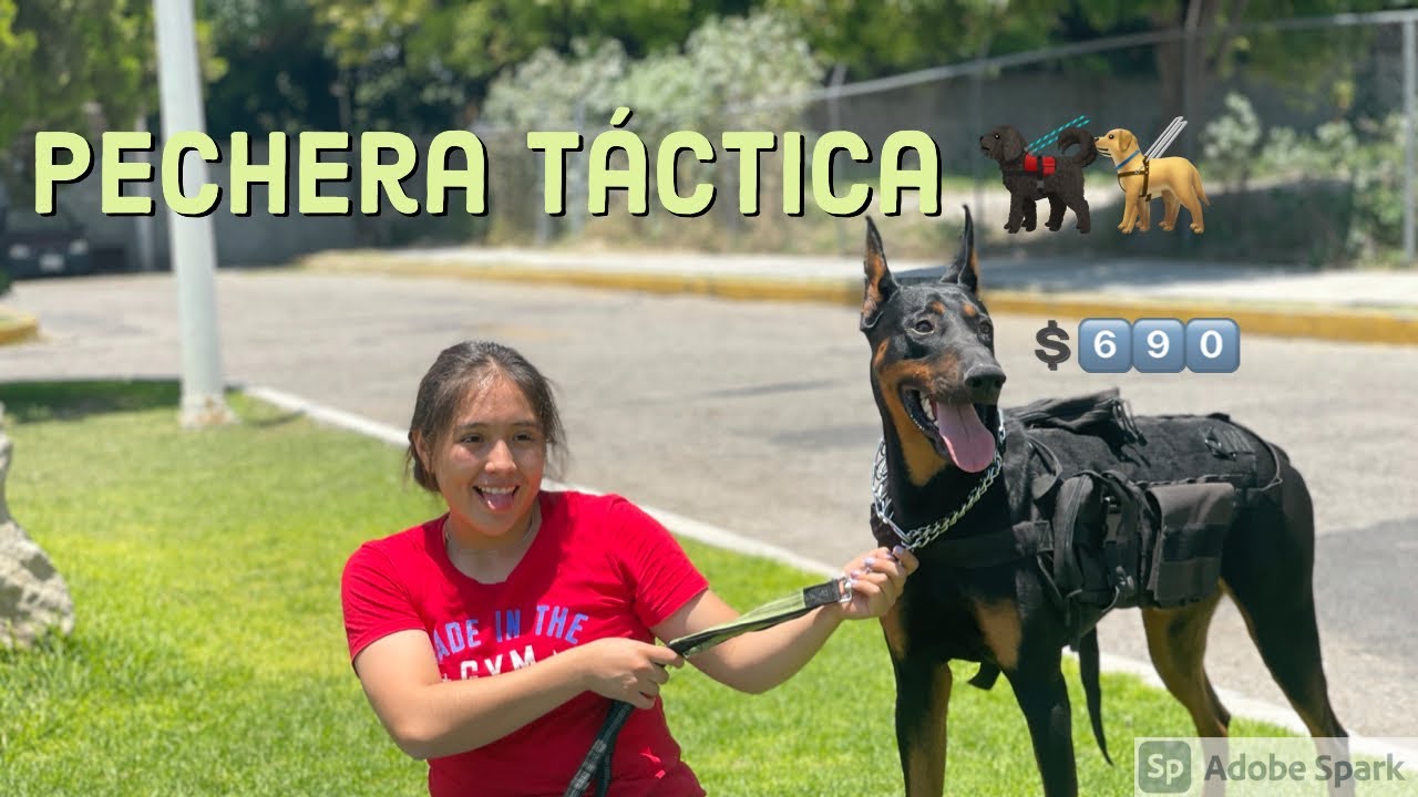 Pechera Táctica Para Perro🐕