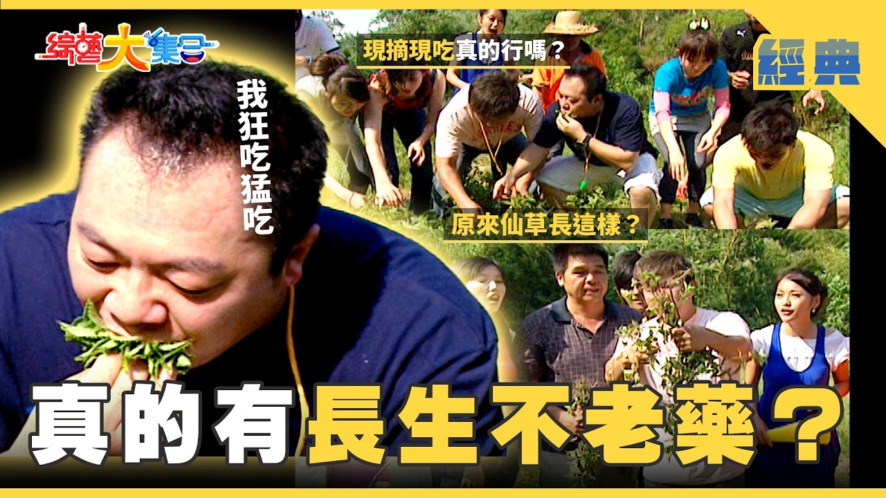 【綜藝大集合 經典】真的有長生不老藥？ 最猛的處罰道具？？ 苗栗 2026.2.19