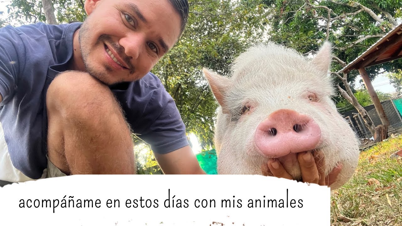 Mi vida con animales as&iacute; pasan nuestros d&iacute;as en casa