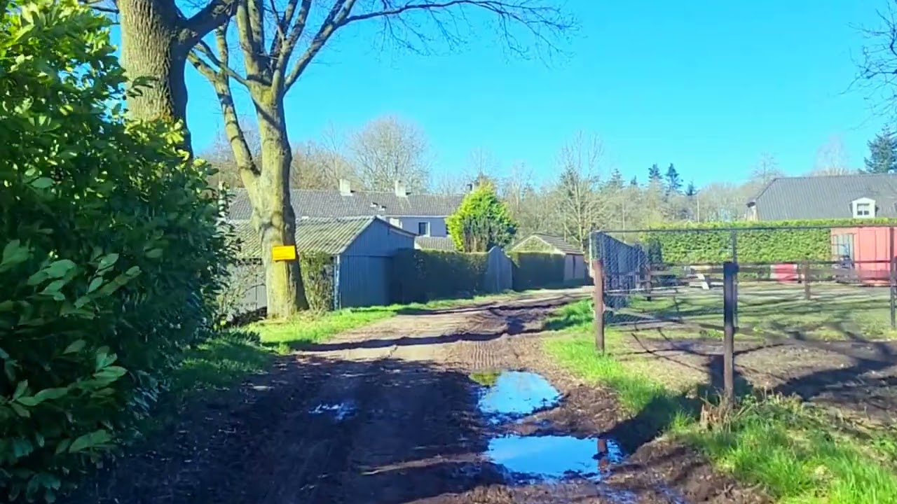 Relaxing Video In a Beautiful    Netherlands Countryside,South Netherlands