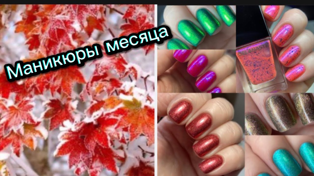 Маникюры месяца ноябрь_25, обычными лаками #лакдляногтей #обычныйлак #уходзаруками #ногти #маникюр 
