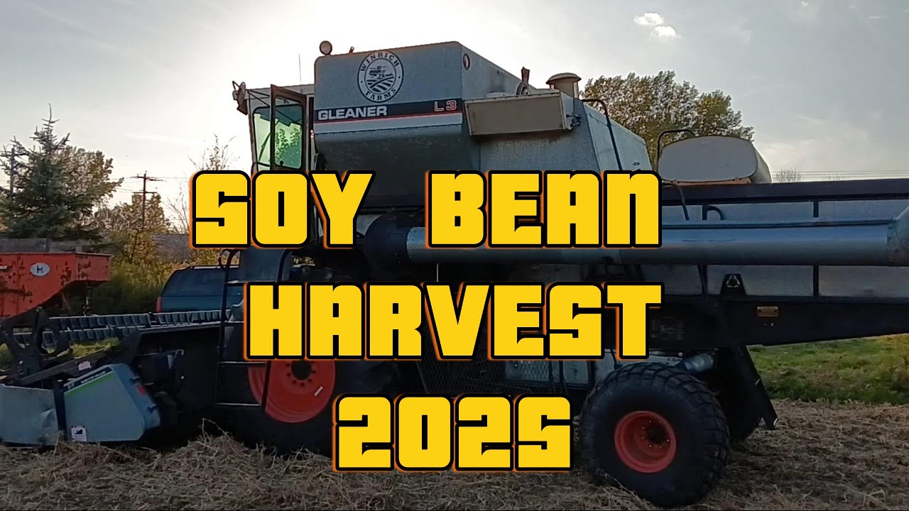 Harvest 2025 Soybeans