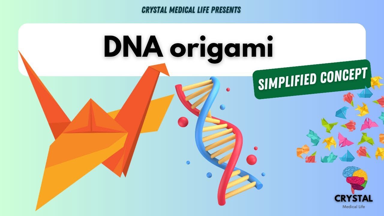 DNA Origami: The Future of Nanotechnology | DNA Folding Explained