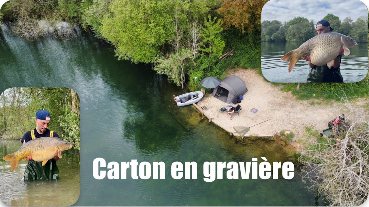 Emeraude carpe - Carton en gravière (départ en live - carprun) #carp #carpy #carpfishing