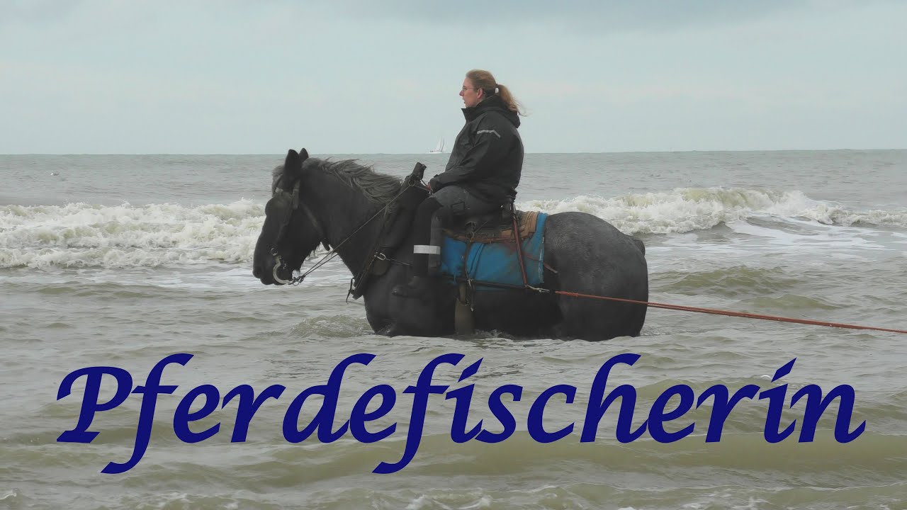 Oostduinkerke * Krabbenfischen zu Pferd * garnaalvisserij te paard * shrimp fishing on horseback