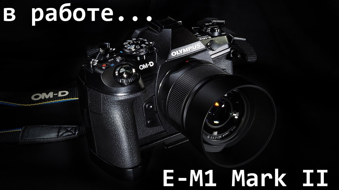 E-M1 Mark II - Начинаю работать..
