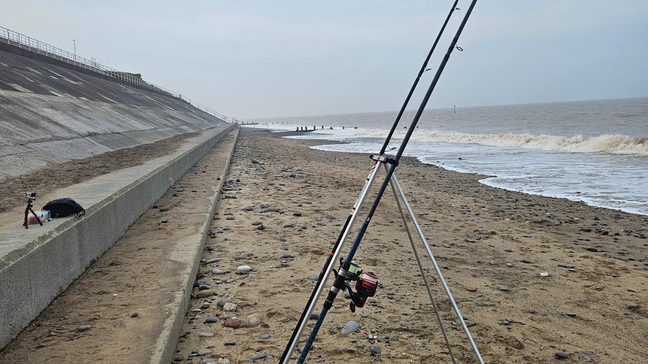 Beach Fishing, Withernsea new species