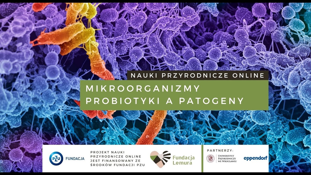 Mikroorganizmy - probiotyki a patogeny