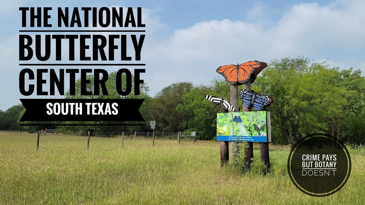 The National Butterfly Center & a PSA For America's Seniors