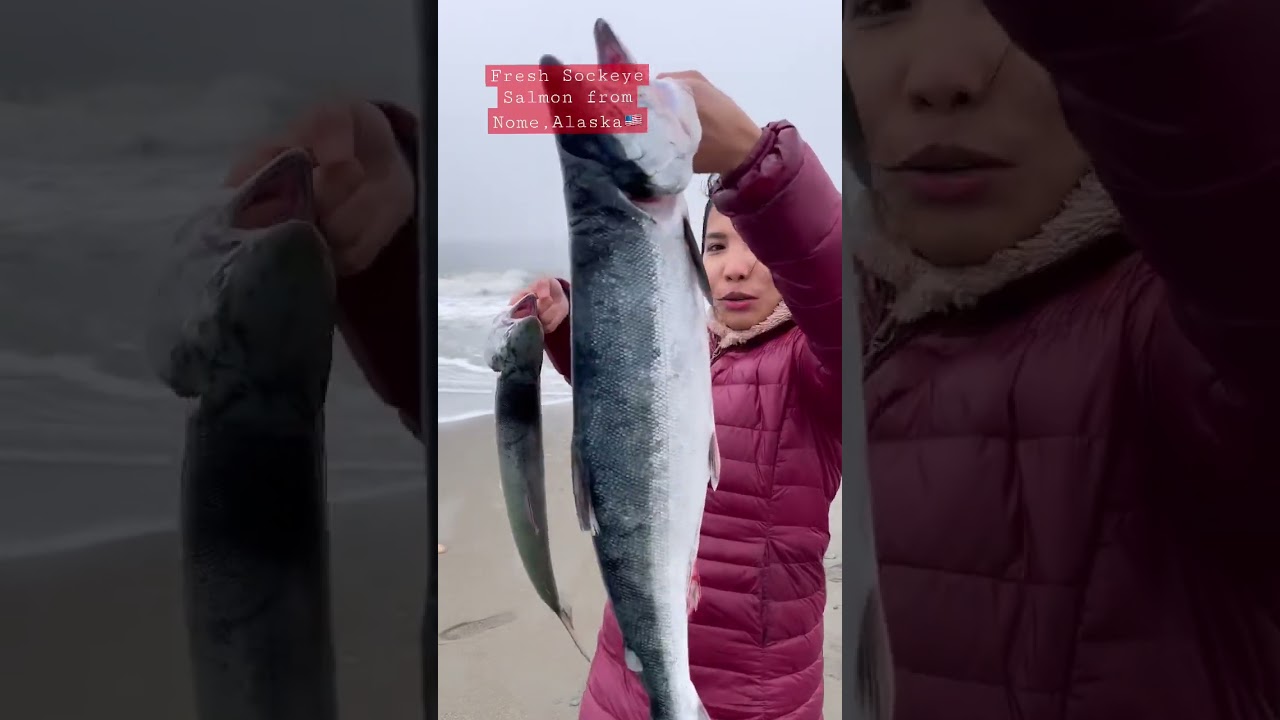 Salmon fishing&hellip; #youtubeshorts #salmonfishing #pinayvlogger