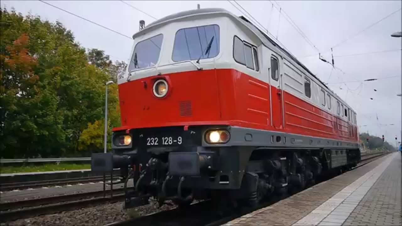 Gro&szlig;russe und andere in Priort bei Berlin