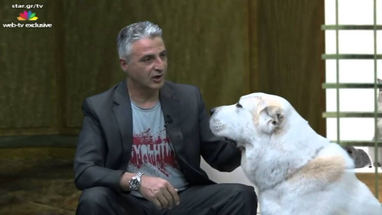 Petshow Best of S01