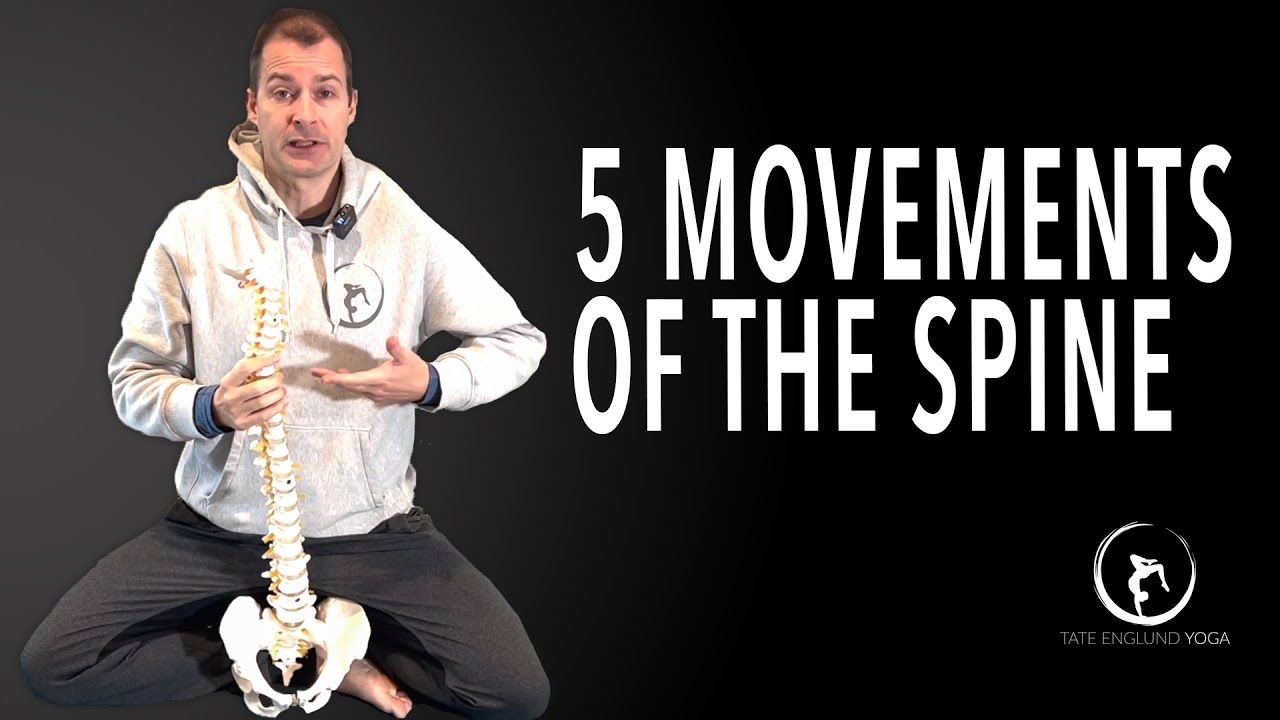 5 Movements of the Spine | Yoga Anatomy