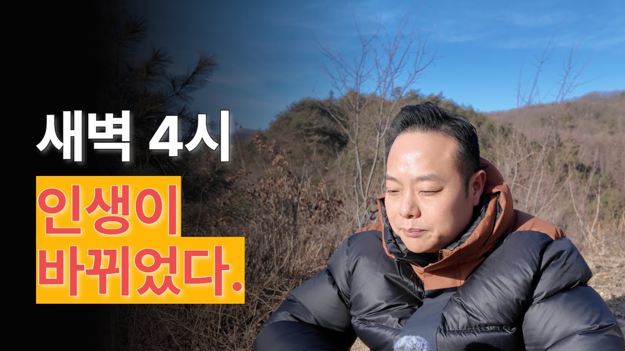 일주일 동안 새벽 4시에 일어났더니, 몸이 먼저 반응했다