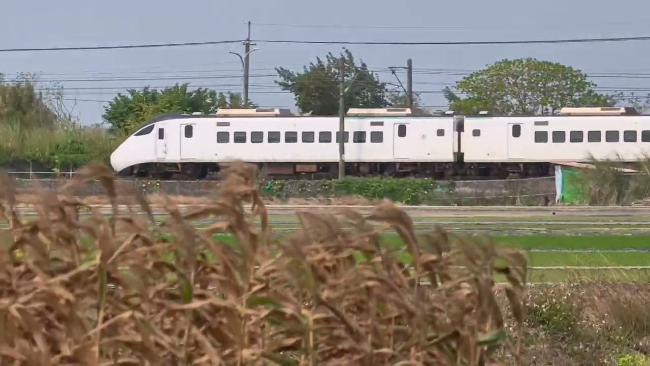 20260218、17-EMU3000型新自強號列車 #emu3000 #emu3000型 #emu3000型城際列車  #emu3000型新自強號 #emu3000新自強號 #鐵道迷 #鐵道攝影