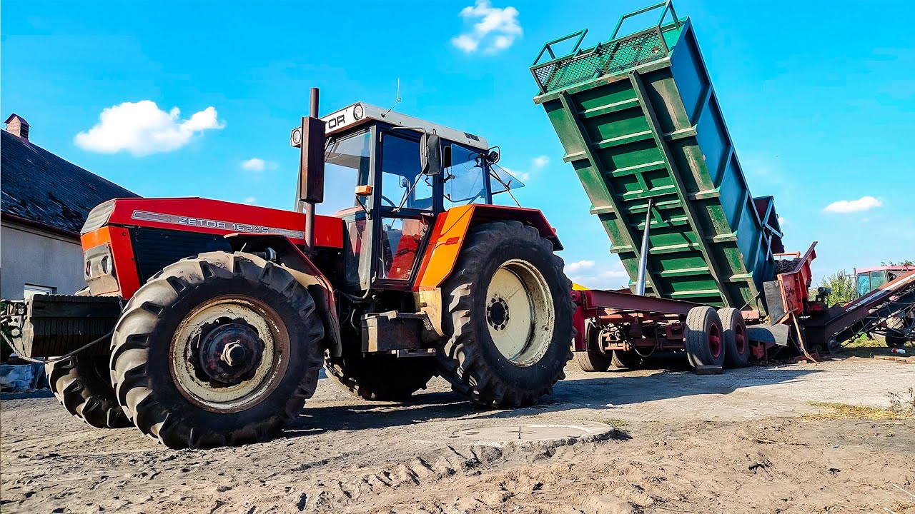 ZBIÓR ZIEMNIAKÓW na Kujawach! Zetor 16245 i NH TM190 cz. II