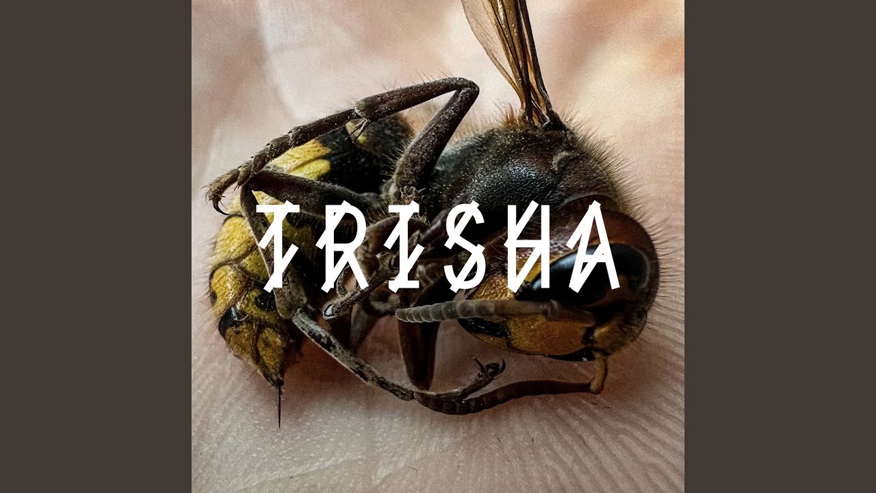 TRISHA