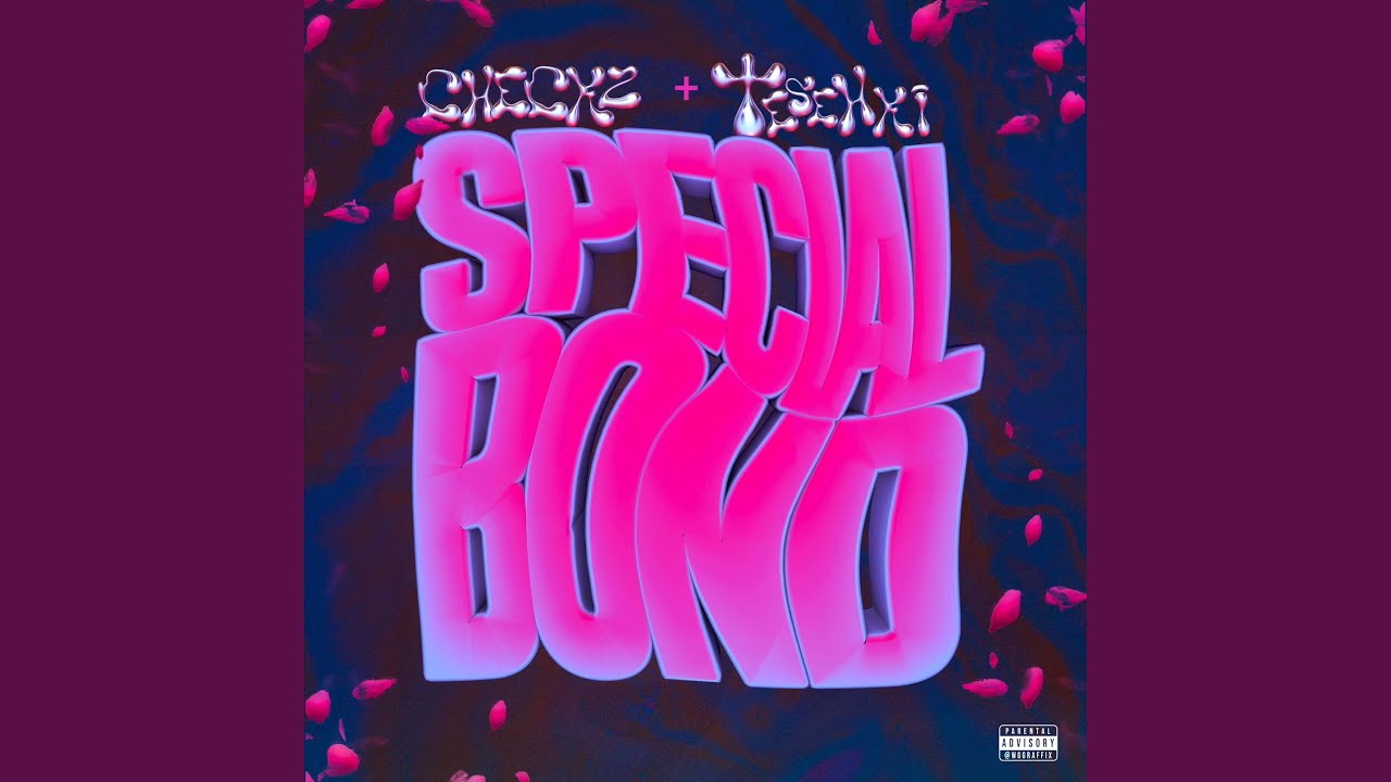 Special Bond (feat. Checkzone)