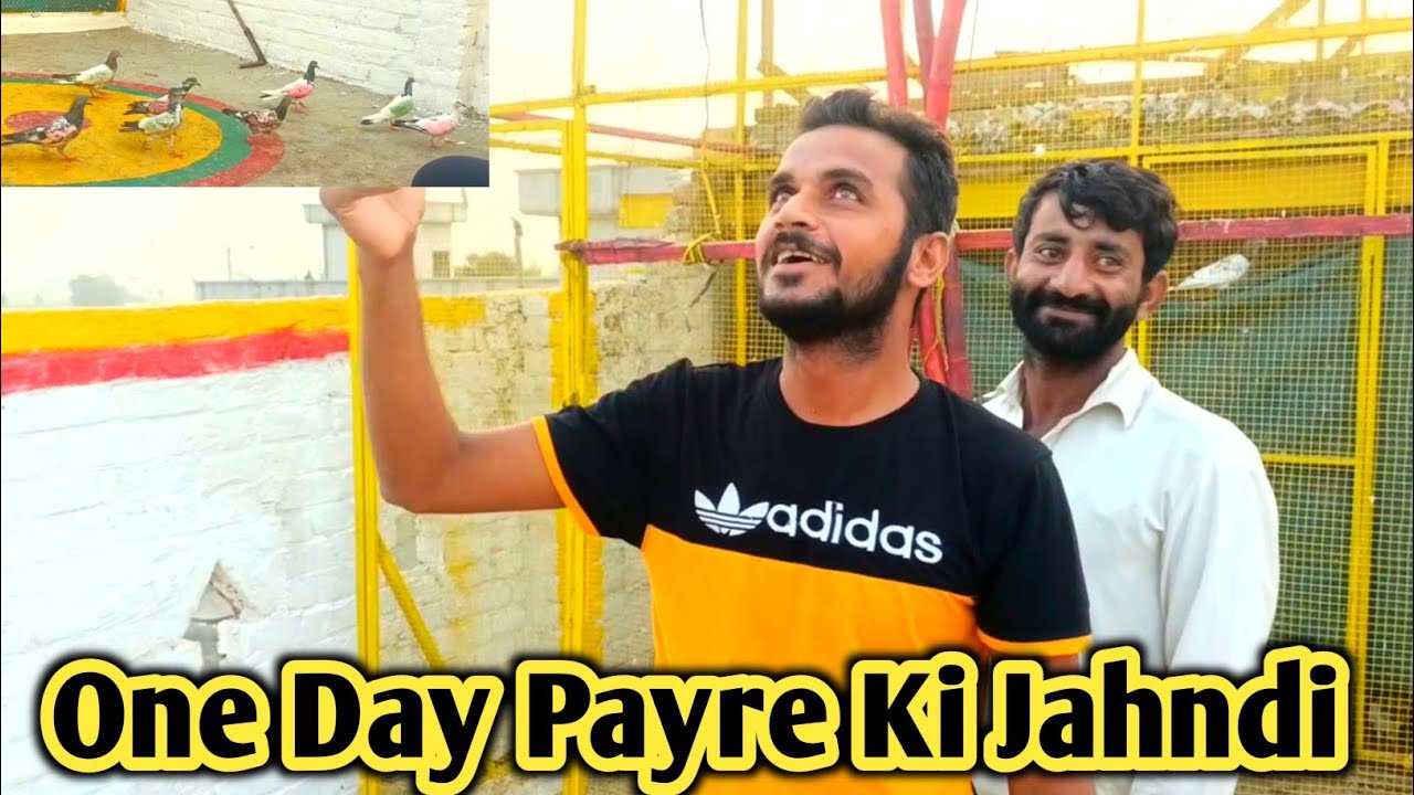 Babar Pigeon Club Wale Kaboteron Ko One Day Payre Ki Jahndi | Colourful Pigeons