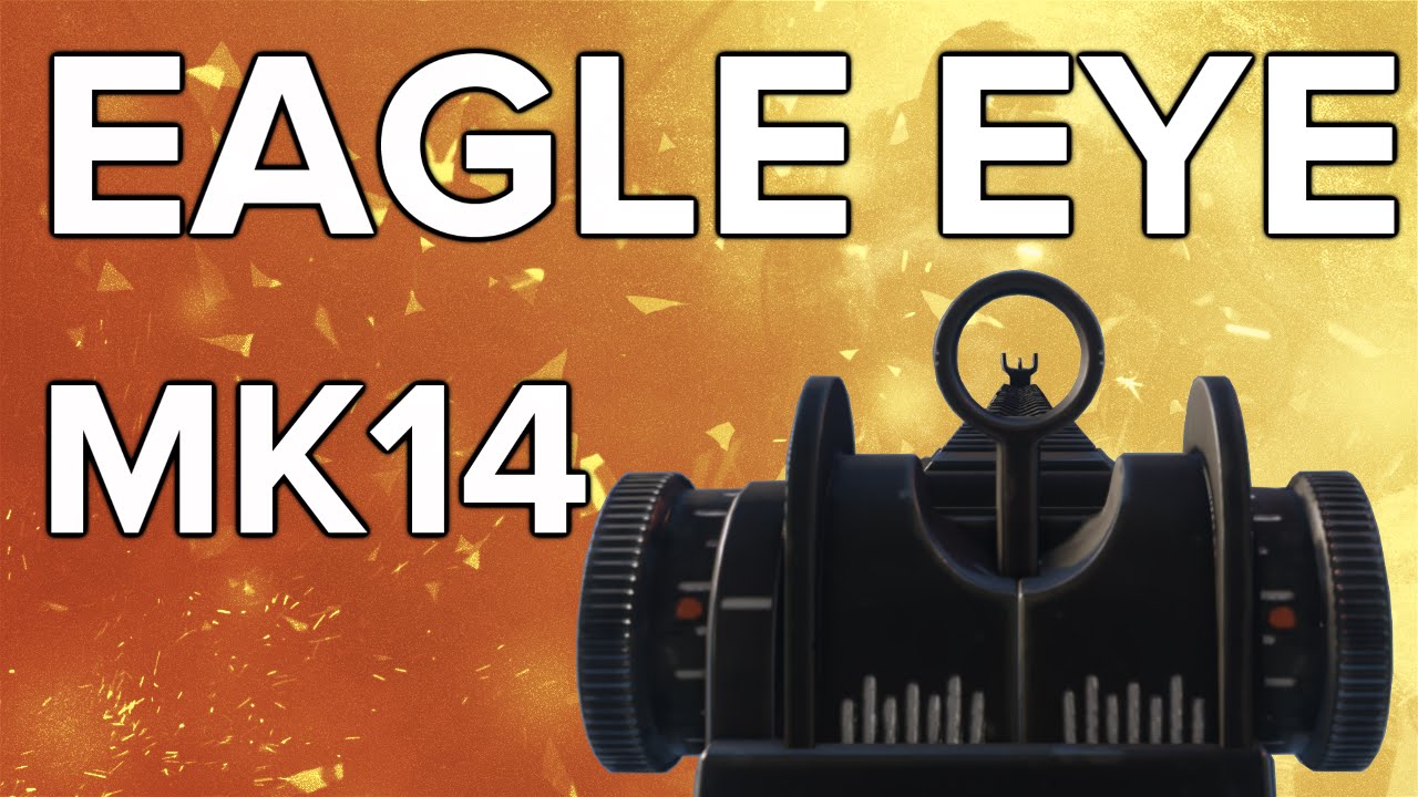 Advanced Warfare In Depth: MK14 Eagle Eye (Elite Variant Review)