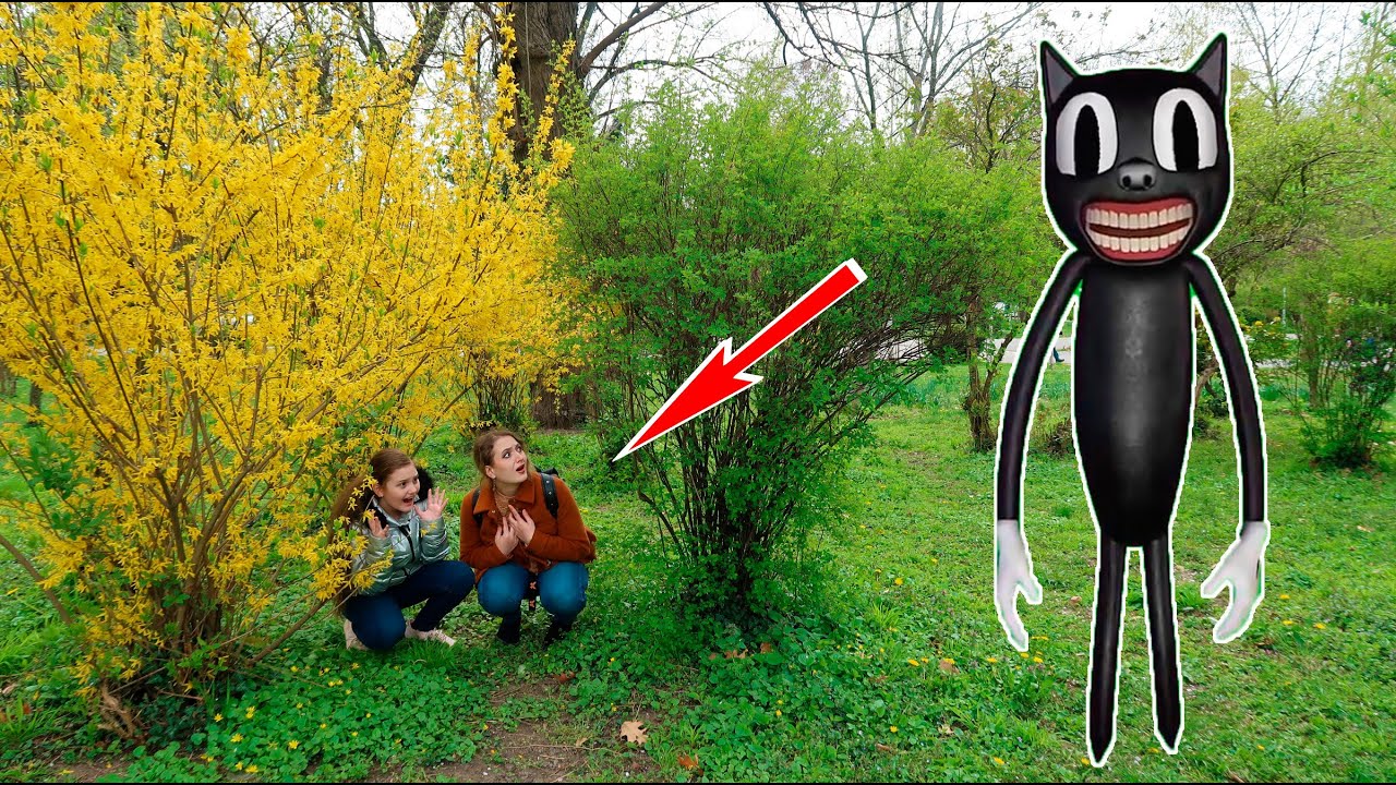 CARTOON CAT in Viata Reala