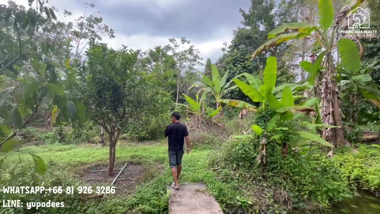 Land for Sale 4.5 Rai with 2 Houses and Tropical Fruit Garden