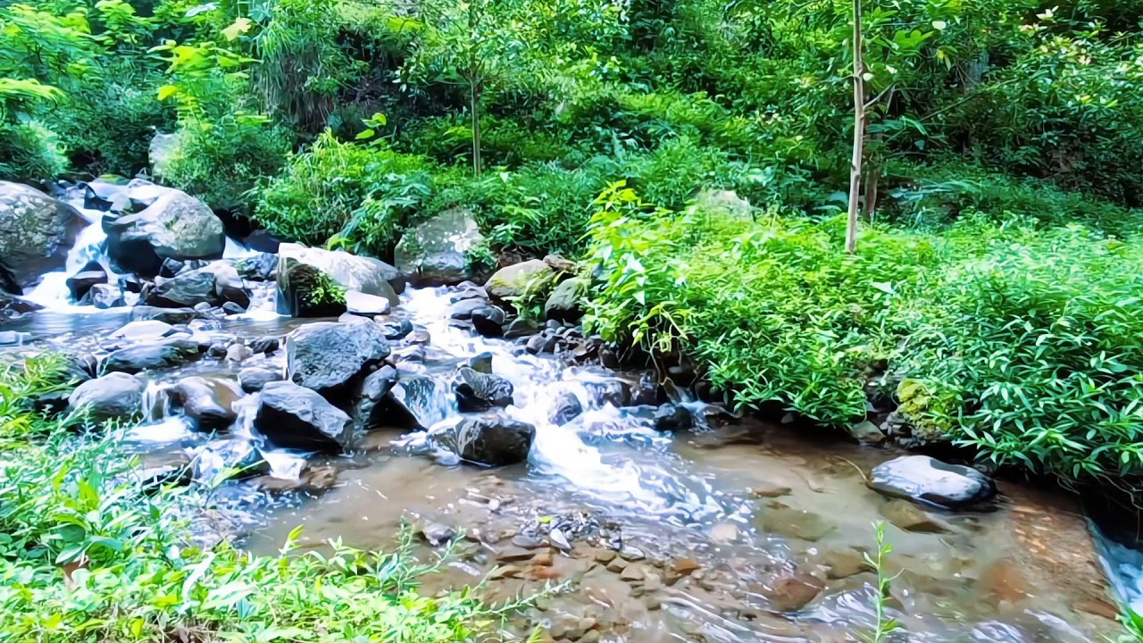 River Water Ambience for Stress Release