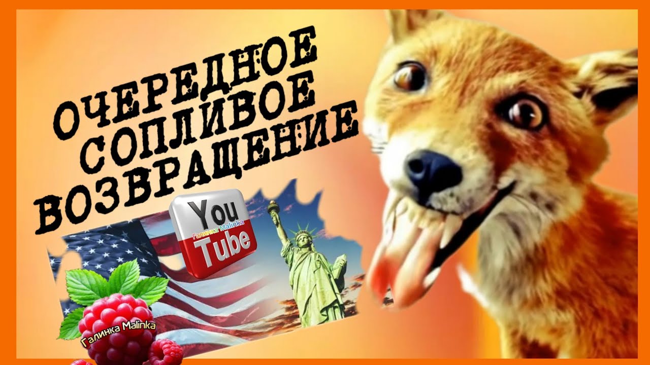 Лиса в Америке /Очередное сопливое возвращение /Обзор /Funny 4 /Big Big Family /Сельчанка в Америке 