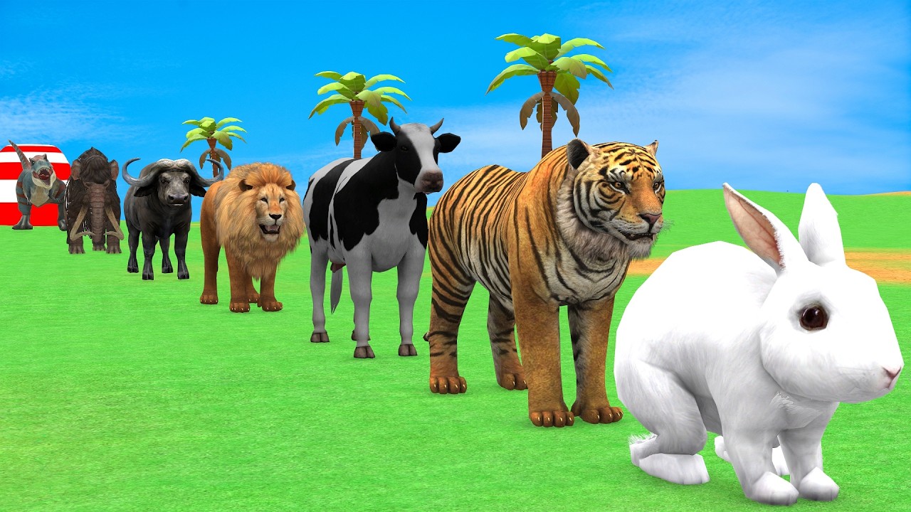 Long Slide Game with Cow Elephant Gorilla Hippopotamus Tiger 3d Animal Game Funny 3d Animals