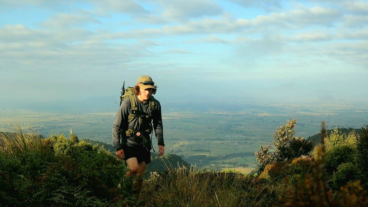 Hiking an Abandoned Track - The Old North South Track, Kaimais