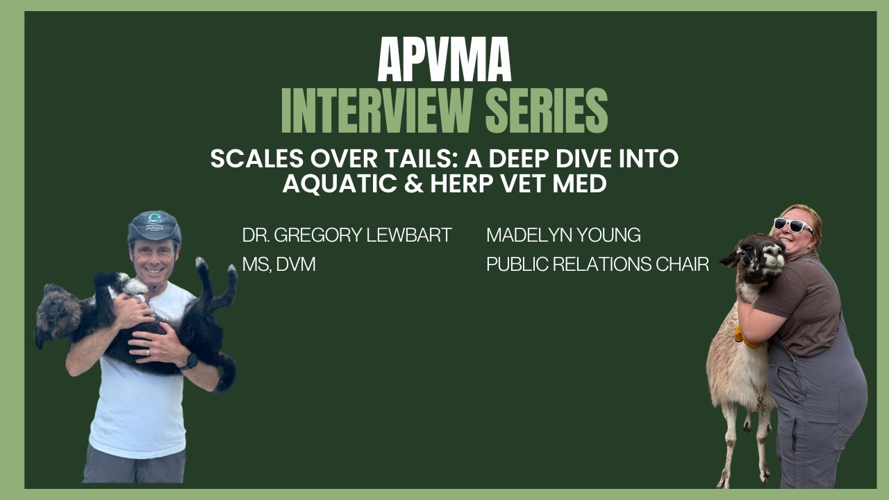 APVMA Interview Series: Scales Over Tails: A Deep Dive into Aquatic & Herp Vet Med