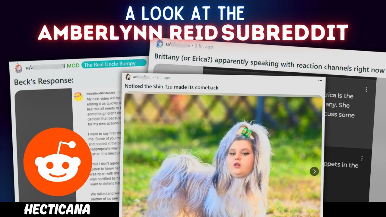A Quick Look At The Amberlynn Subreddit