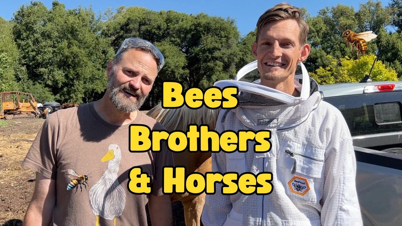 Bees, Brothers, and Horses