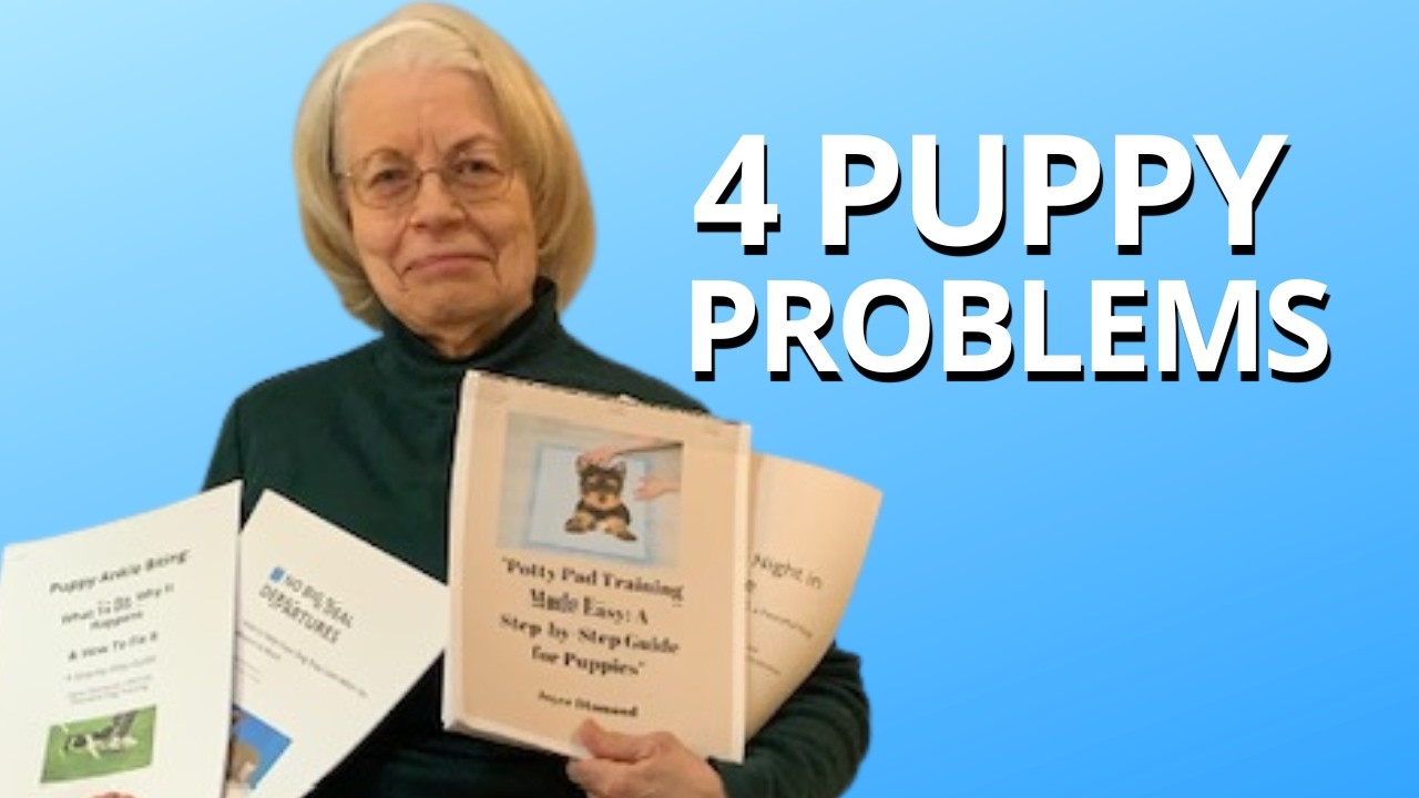 Как я решаю 4 самые распространенные проблемы, связанные с щенками, и справляюсь с ними спокойно ...