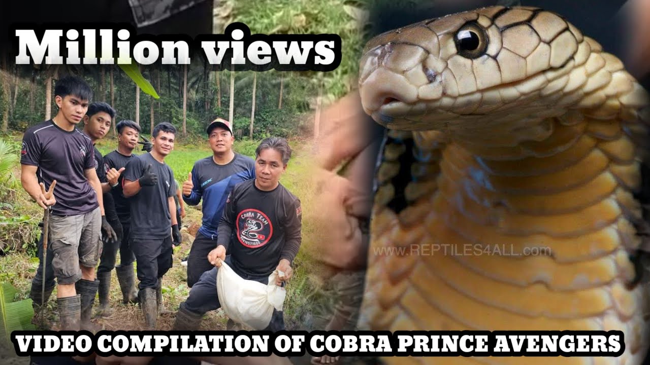 COBRA PRINCE AVENGERS COMPILATION MISSION ACCOMPLISHED #cobraprince